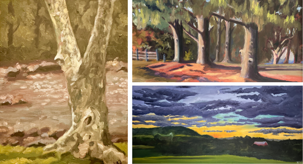 Oil Paintings by Liz Griesser