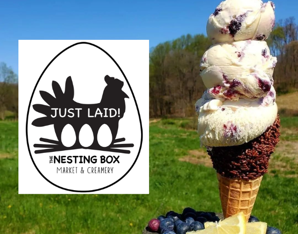 The Nesting Box ice cream and logo The Nesting Box ice cream and logo