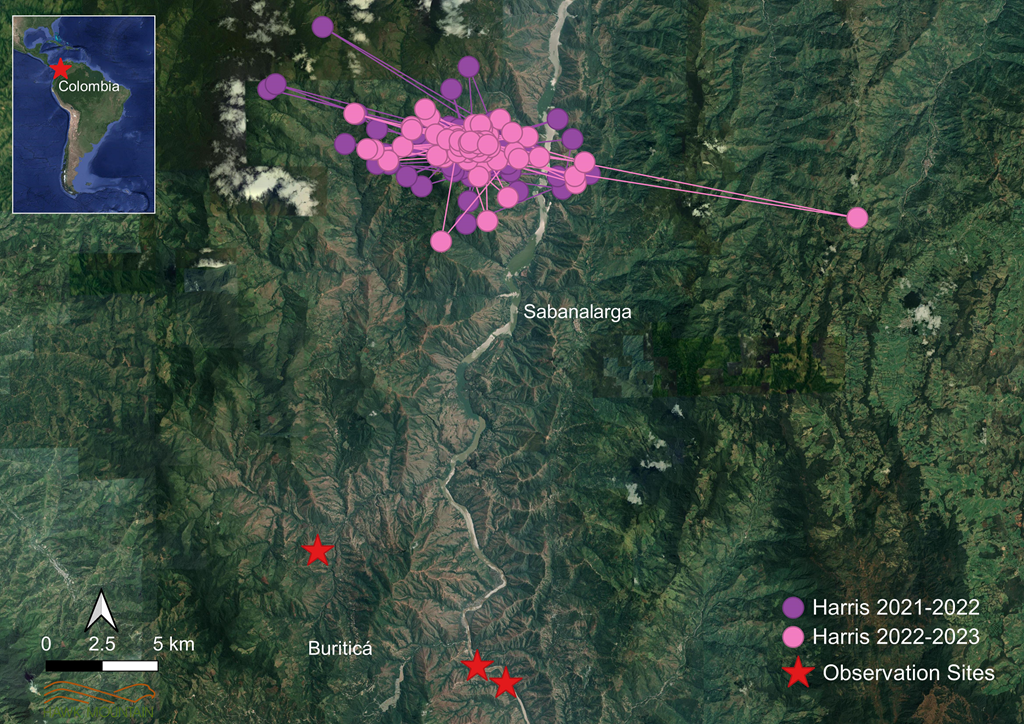 Harris Broadwing Tracked Movements in Colombia