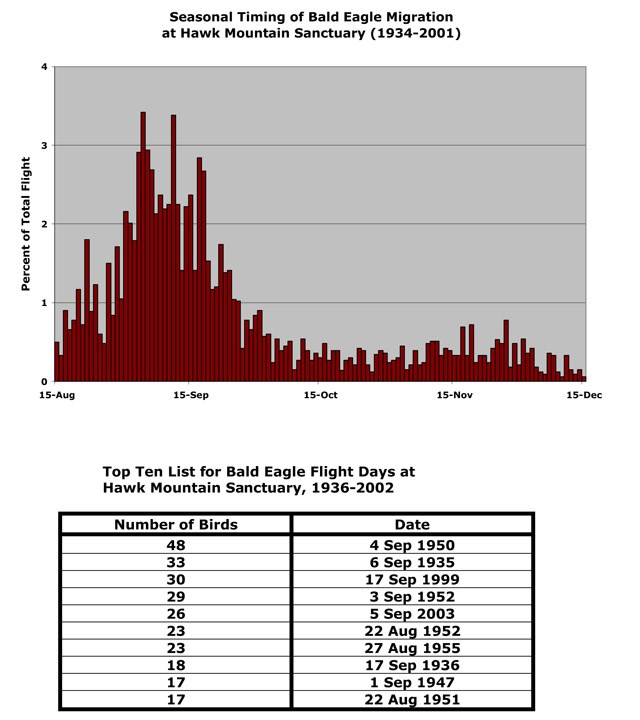 Bald Eagle Seasonal Migration