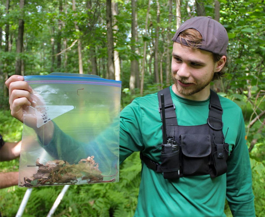 Brent holding collected invasive worm specimens