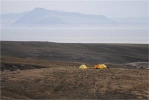 Bylot Island Bylot Island