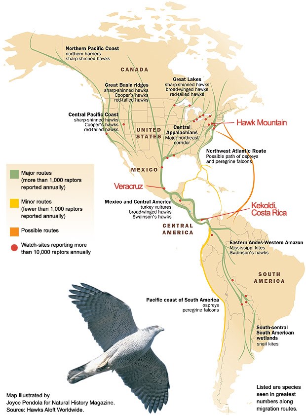 Map of Corridor Watchsites in North and South America Map of Corridor Watchsites in North and South America