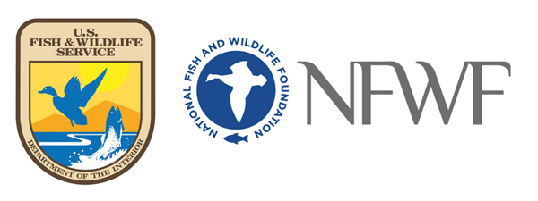 USFWS logo and NFWF logo USFWS logo and NFWF logo