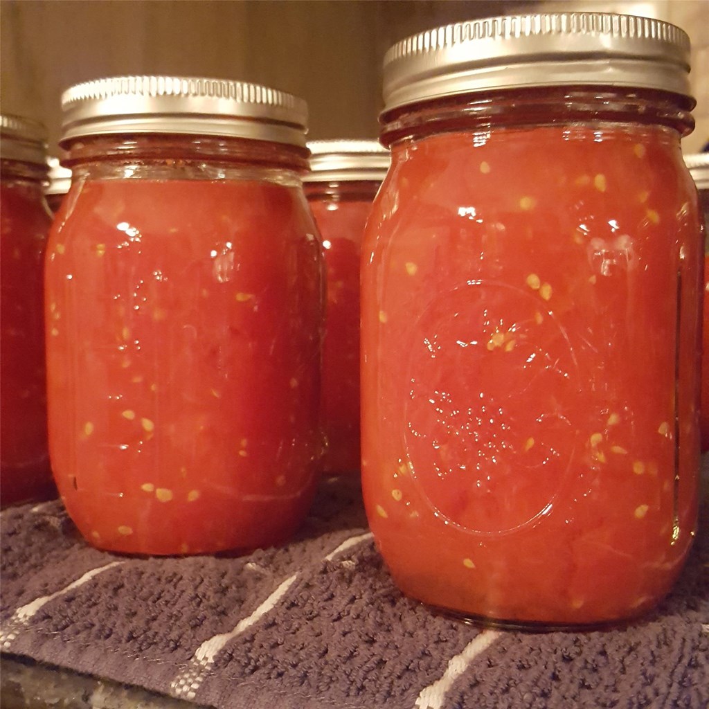 Several Canned Tomato Salsas Several Canned Tomato Salsas