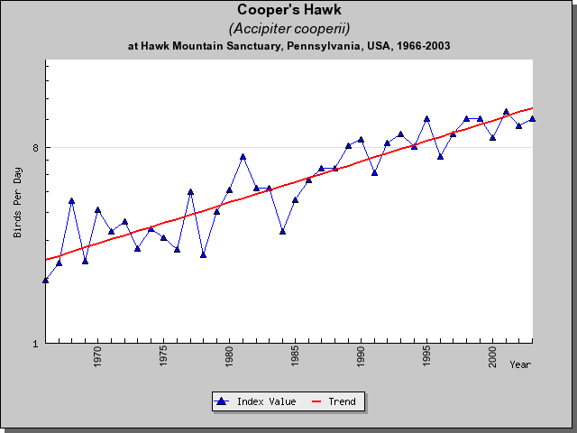 Coppers Hawk HM Sightings