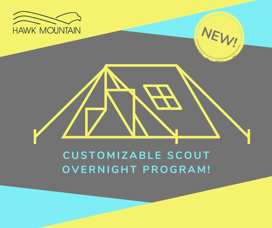 Night on the Mountain: NEW customizable scout program Night on the Mountain: NEW customizable scout program