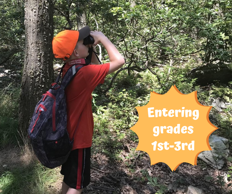 Wild Survivors Summer Nature Camp Hawk Mountain Sanctuary Learn Visit Join