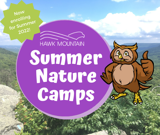Summer Nature Camps 2022 Summer Nature Camps 2022