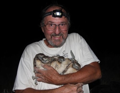 David Johnson holding several burrowing owls.