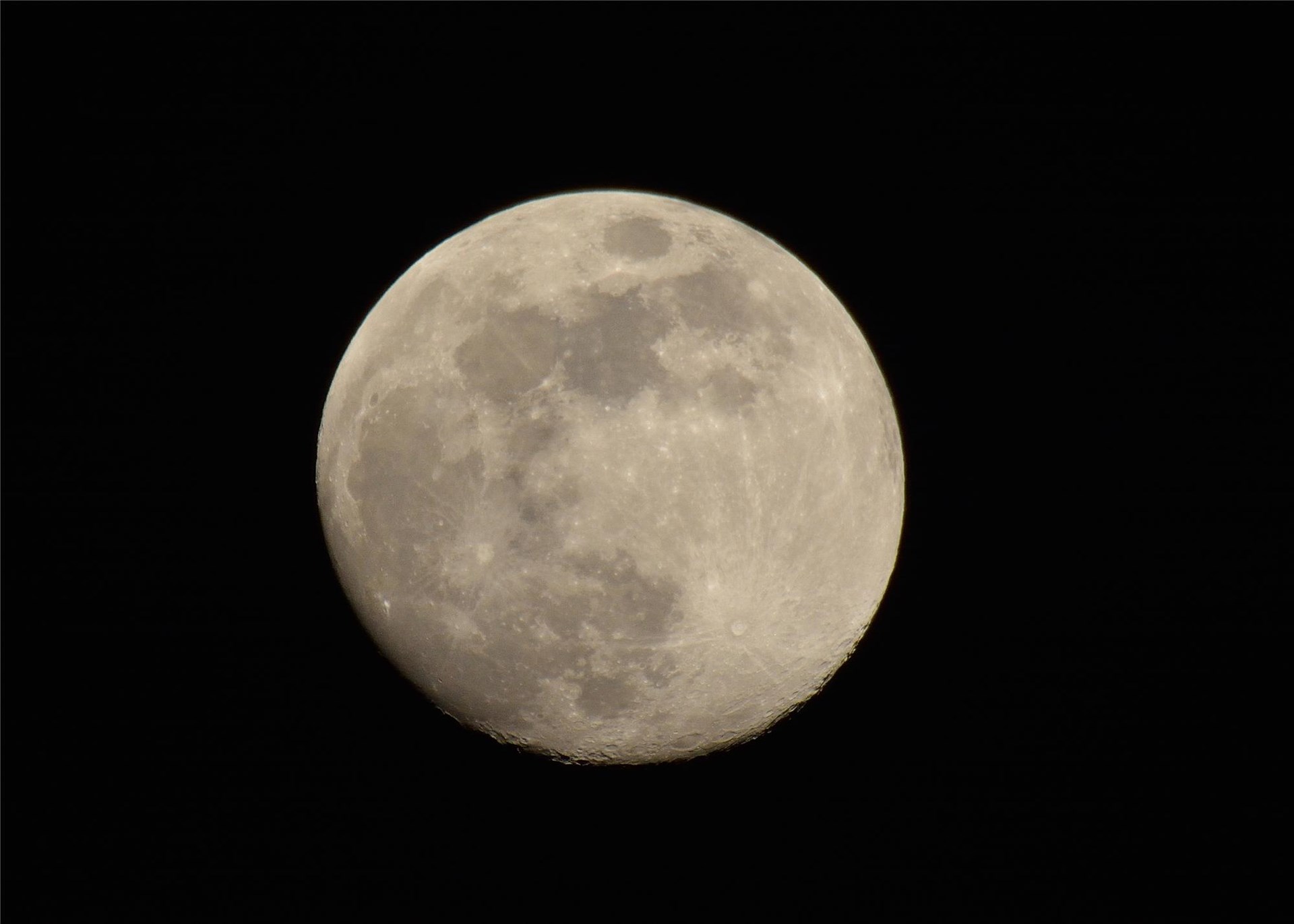 Full Moon Night Hike