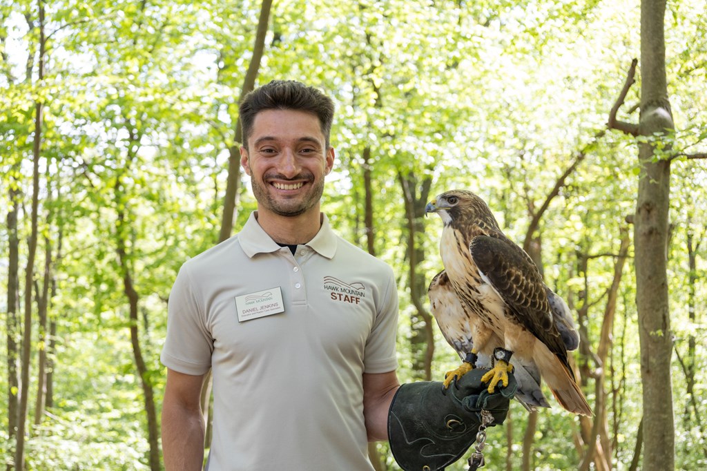 Educator Dan Jenkins with Red-tailed Hawk Ambassador Bird Educator Dan Jenkins with Red-tailed Hawk Ambassador Bird