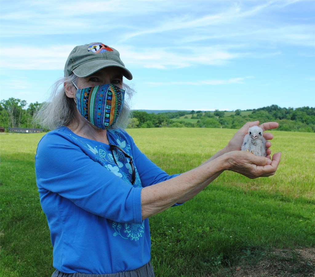 Deborah Shalders, Raptor Field Techniques Course Participant