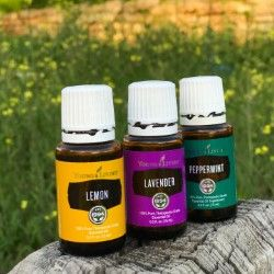 “Spring Cleaning” Essential Oils Workshop “Spring Cleaning” Essential Oils Workshop