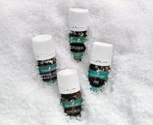 Essential Oils Workshop Essential Oils Workshop