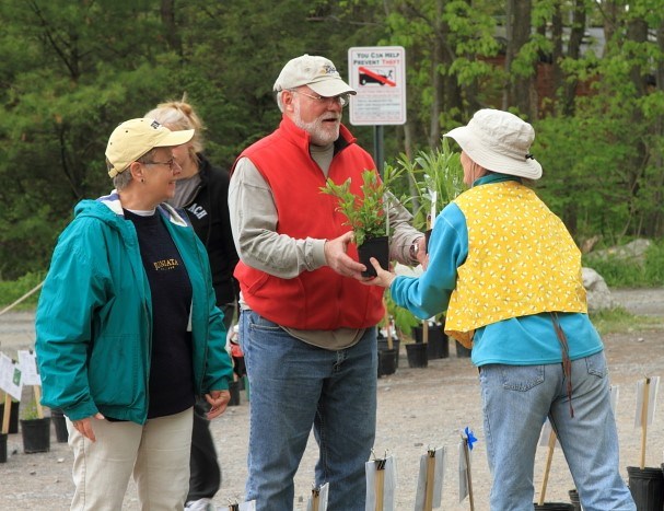 Shoppers Receive Plants from Plant Sale Volunteer