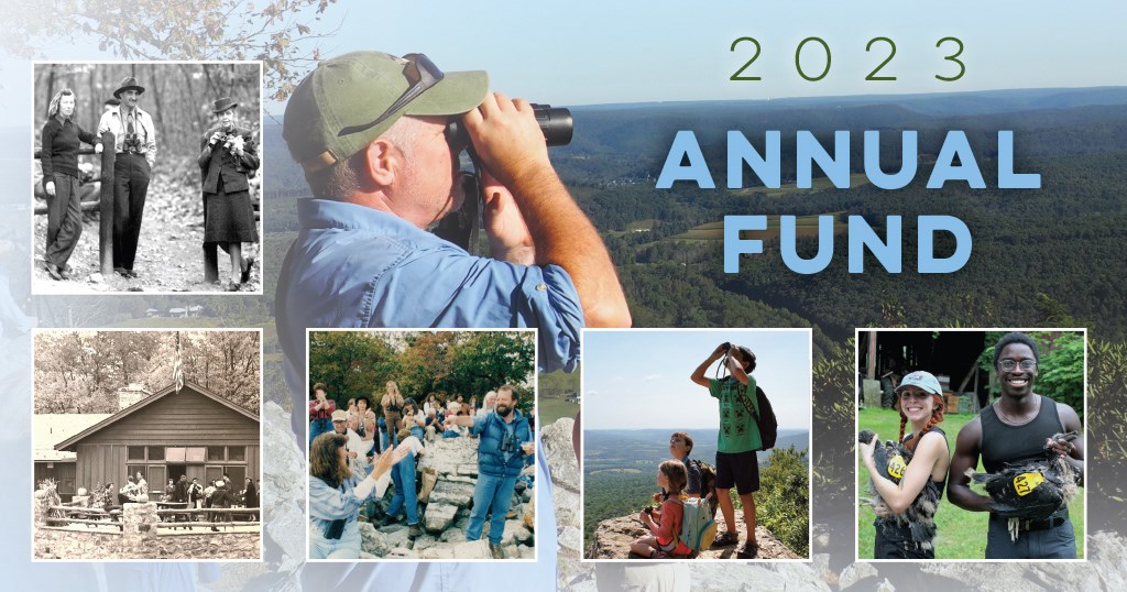 2023 Annual Fund Graphic 2023 Annual Fund Graphic