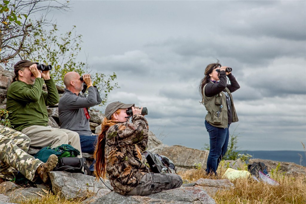 Raptor Field Course Hawkwatching Raptor Field Course Hawkwatching