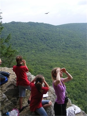 Homeschool Homeschool