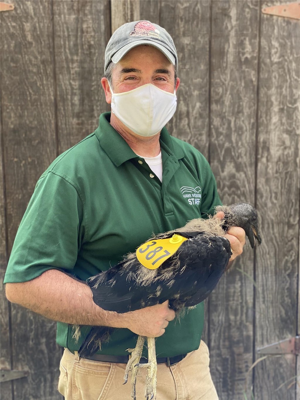 David Barber with a Tagged Vulture David Barber with a Tagged Vulture