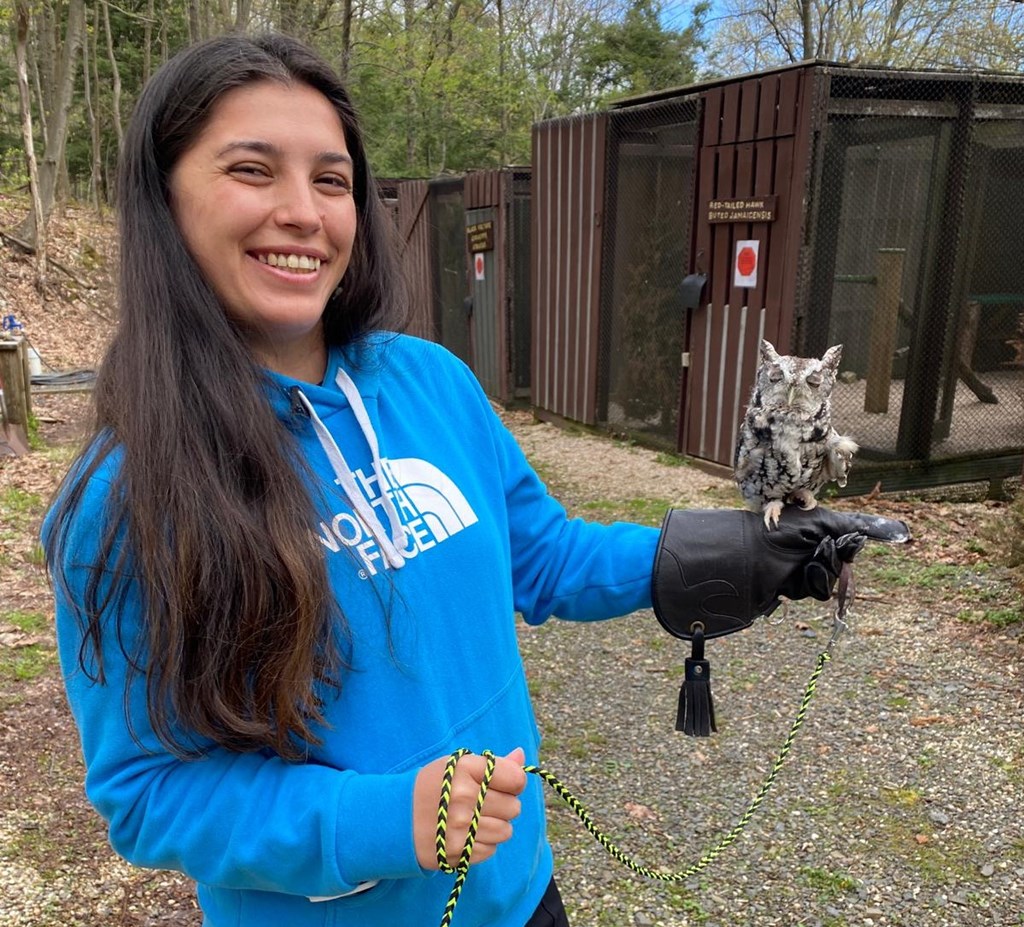 Trainee Pamela Holding the Education Screech Owl Trainee Pamela Holding the Education Screech Owl