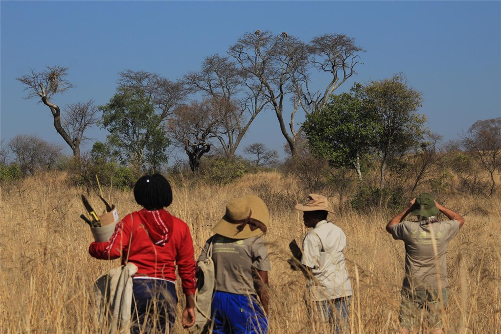 Vulture Survey Team