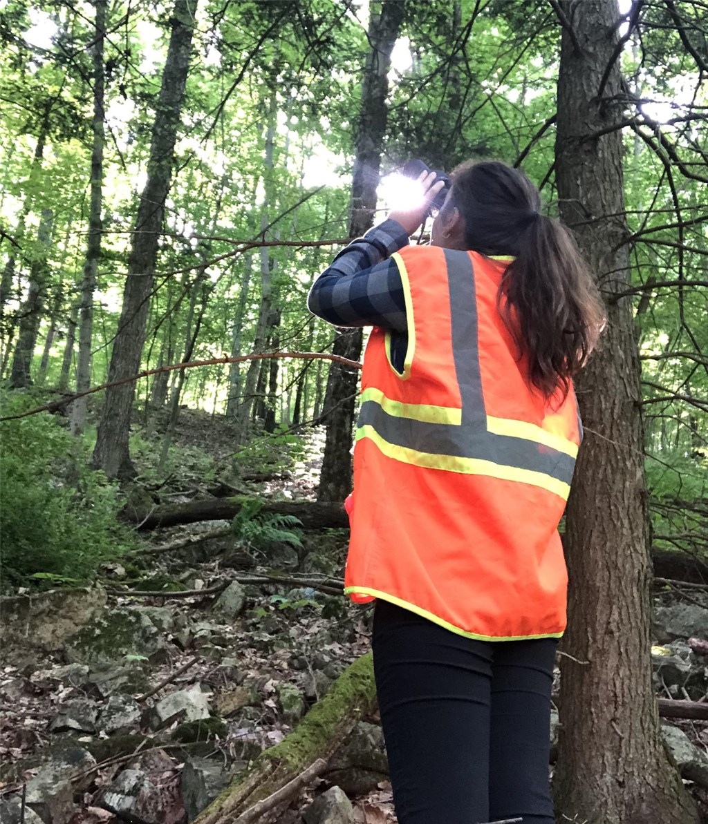 Trainee Julia searching for a broadwinged hawk nest
