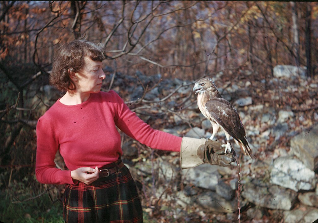 Irma Broun Irma Broun