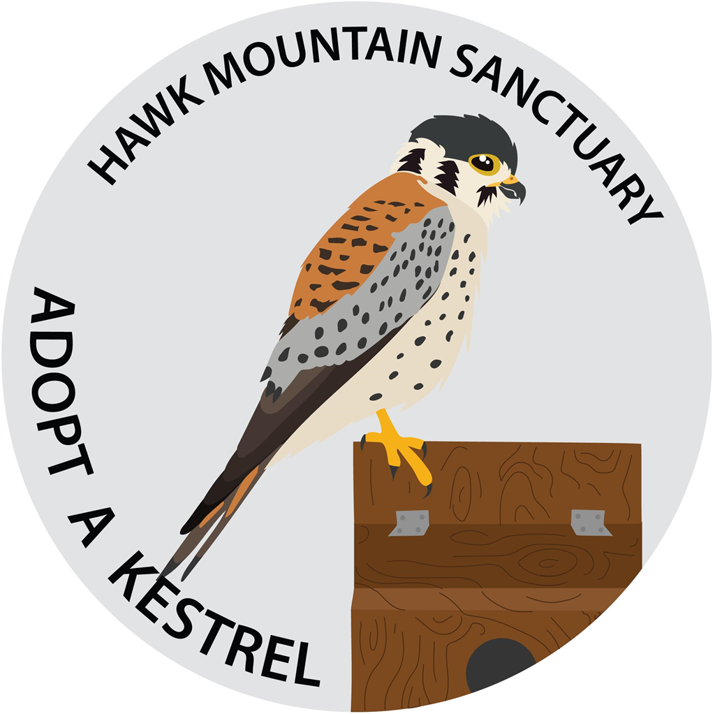 Adopt a Kestrel Nestbox Logo Adopt a Kestrel Nestbox Logo