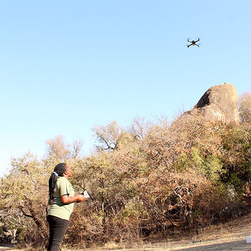 Kudzi in the field, flying a drone