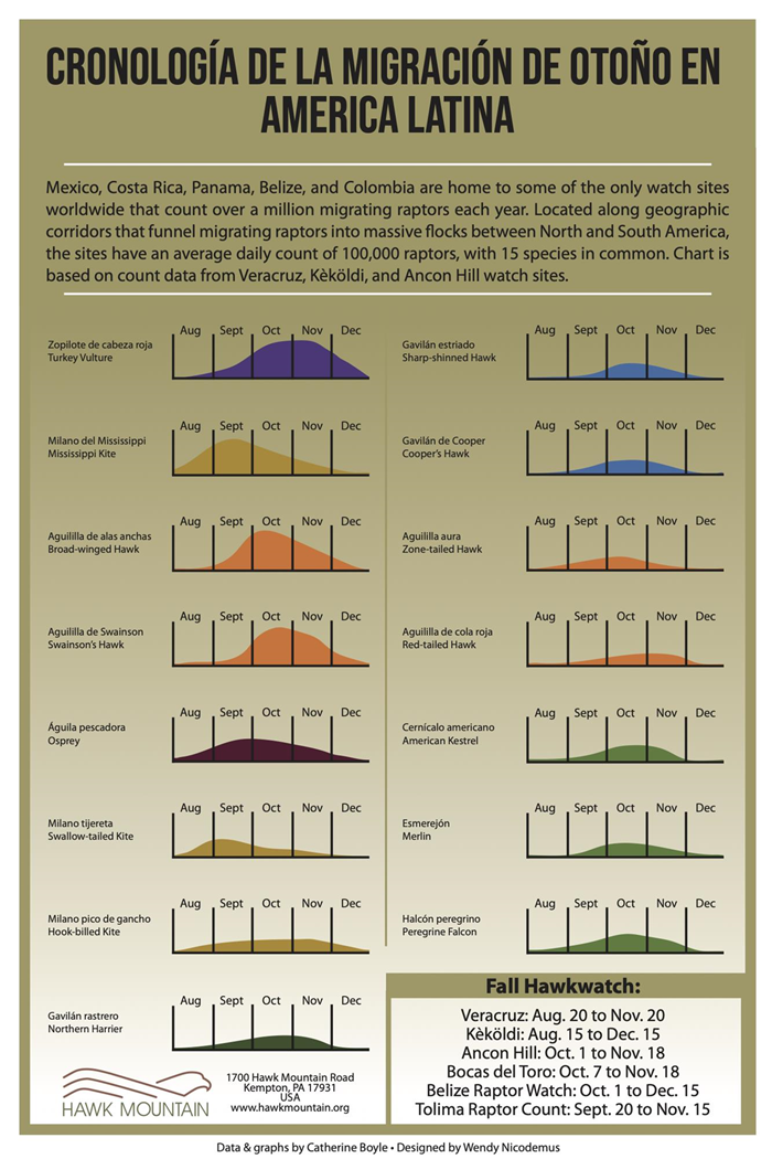Latin America Timetable - FALL Fall Migration Timing Chart for Latin America