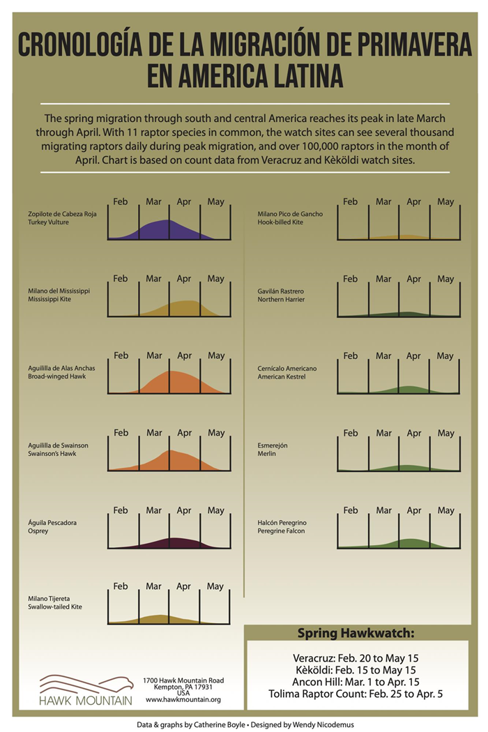 Latin America Timetable - SPRING Spring Migration Timing Chart in Latin America