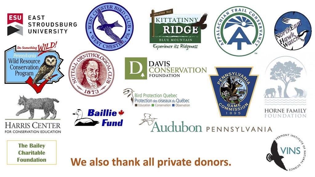 logos