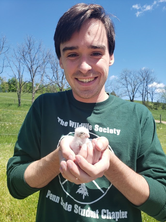 Matt Bowers with an American kestrel chick