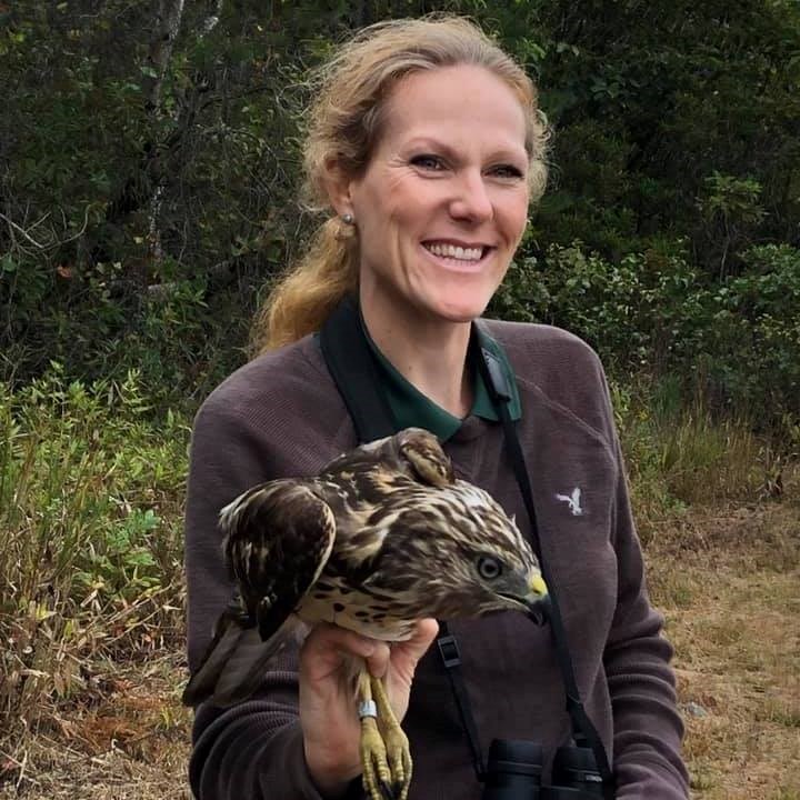 Director of Education Jamie holding a tagged raptor Director of Education Jamie holding a tagged raptor