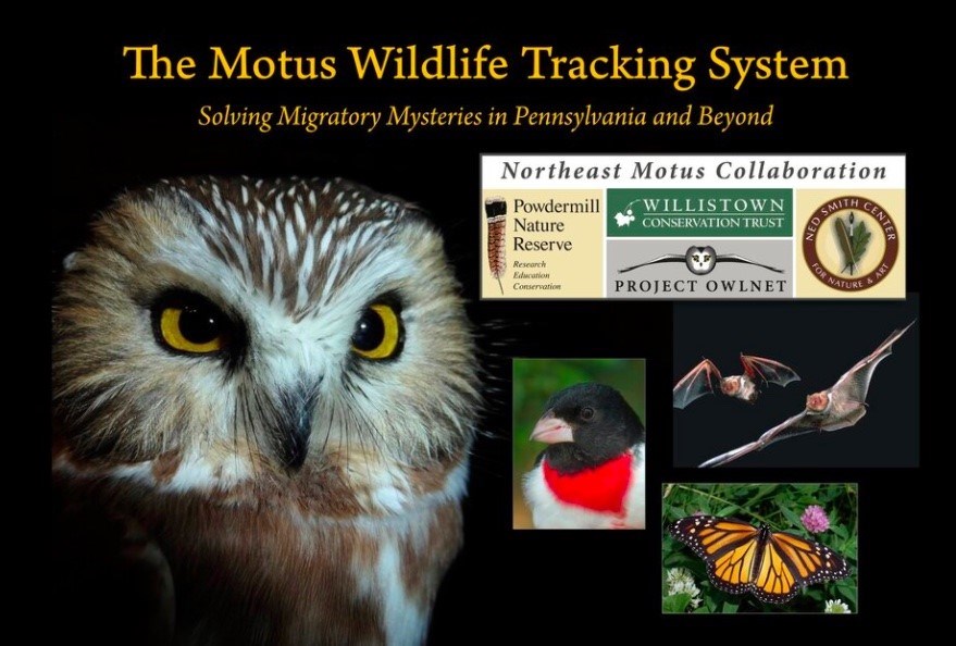 Motus Wildlife Tracking System Graphic Motus Wildlife Tracking System Graphic
