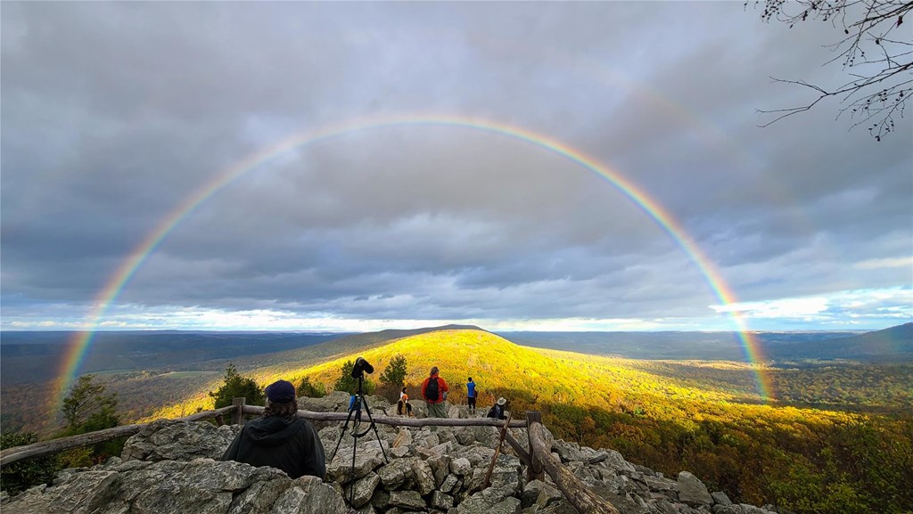 Rainbow over the Ridge by Michelle DiNicola