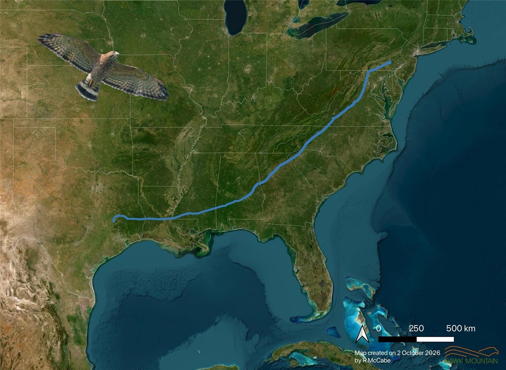 Updated movements from 