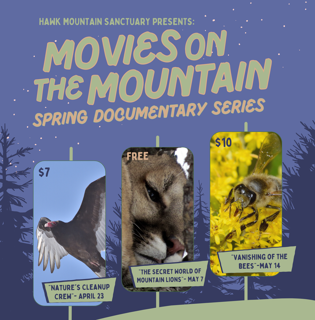 Movies on the Mountain Spring Documentary Series Graphic