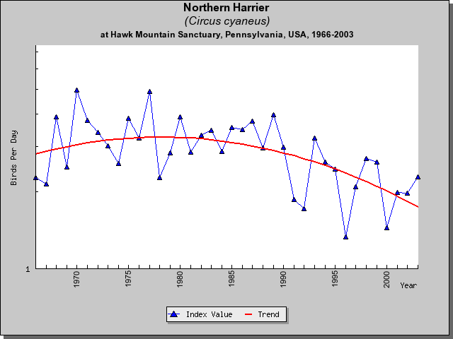 Northern Harrier HM Sightings Northern Harrier HM Sightings