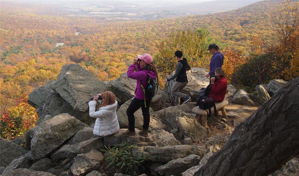 Fall Visitors Visitors hawk watching from South Lookout in the fall.