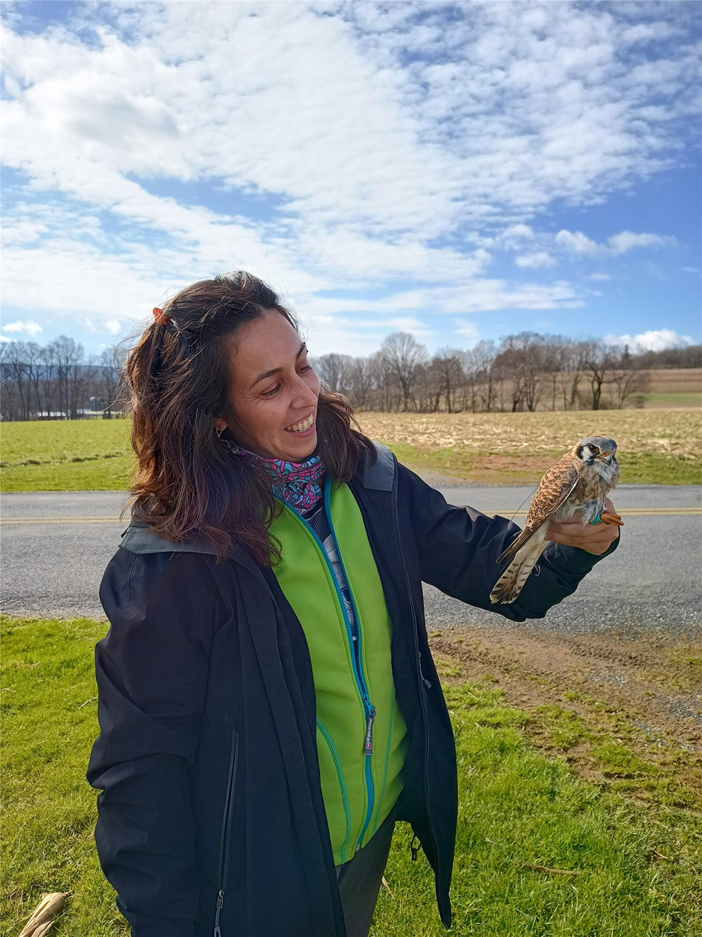 Trainee Paula holding an American kestrel with satellite tracker