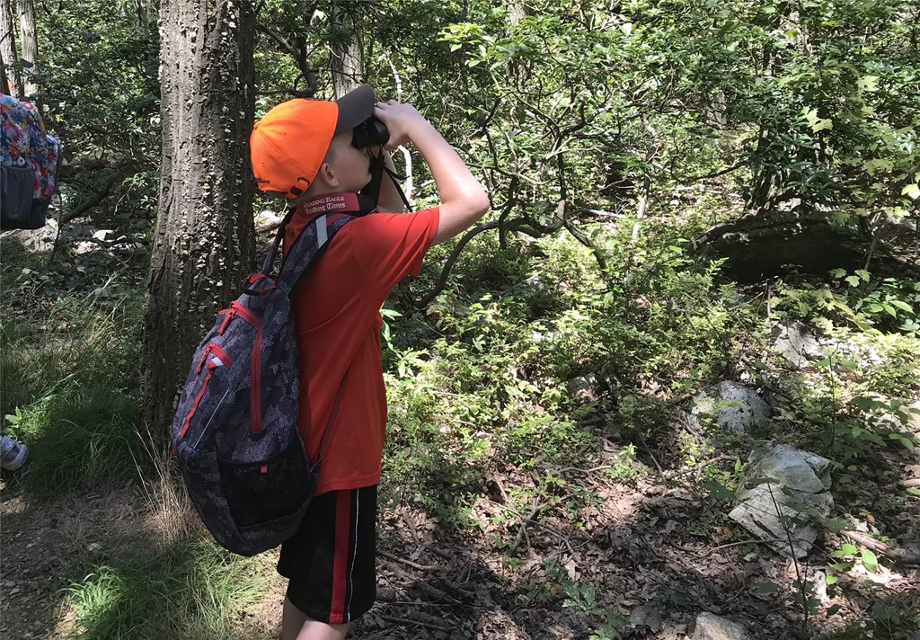 Summer Camp Participant Using Binoculars in the Forest Summer Camp Participant Using Binoculars in the Forest