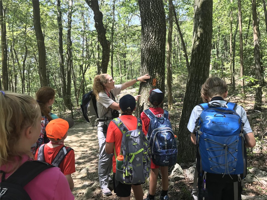 Campers Investigate a Trail-side Tree Trunk with Educator Jamie Campers Investigate a Trail-side Tree Trunk with Educator Jamie