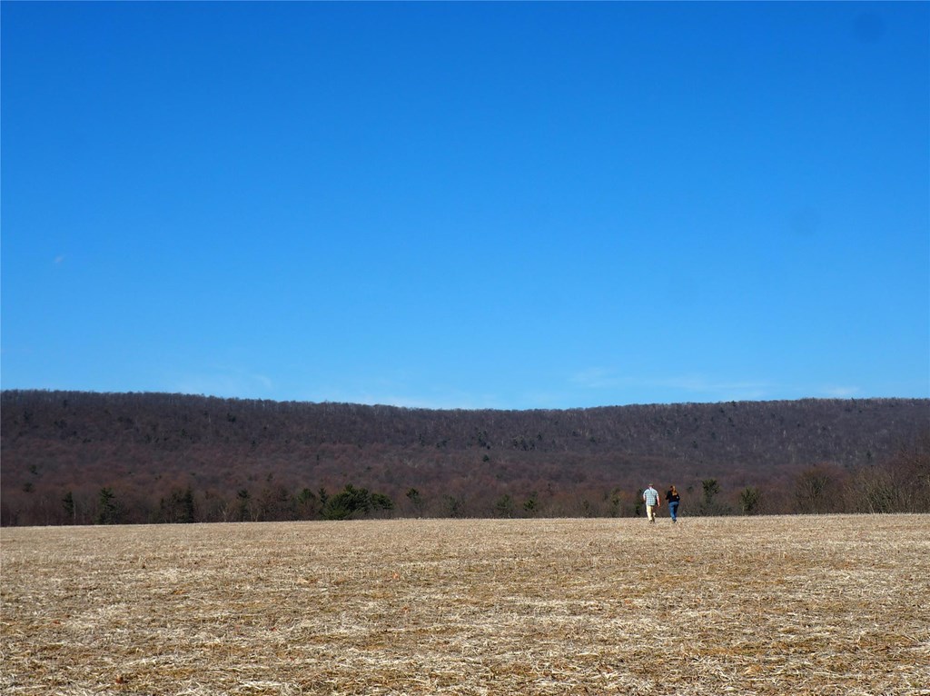 land conservation, newell property