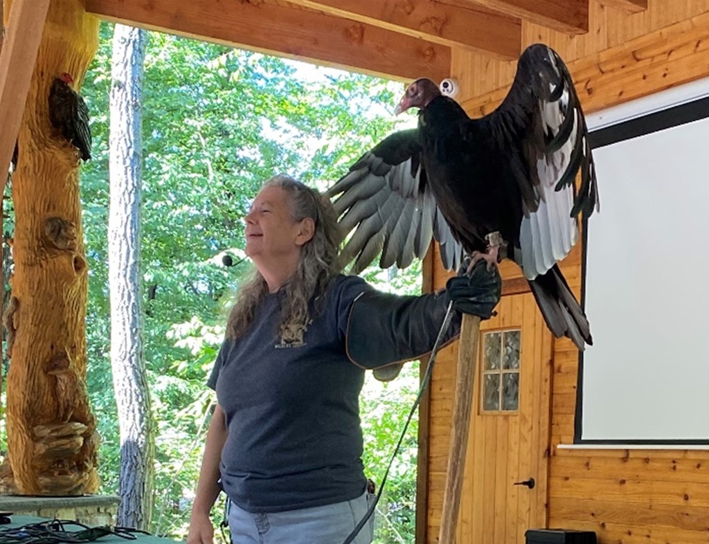 IVAD vulture presentation, turkey vulture on presenter's arm IVAD vulture presentation, turkey vulture on presenter's arm