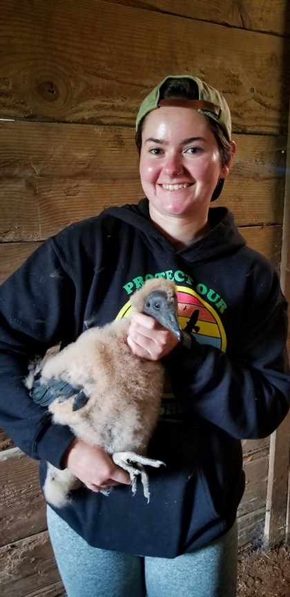 Caroline Holding a Black Vulture Chick Caroline Holding a Black Vulture Chick