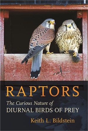 Raptors: The Curious Nature of Diurnal Birds of Prey
