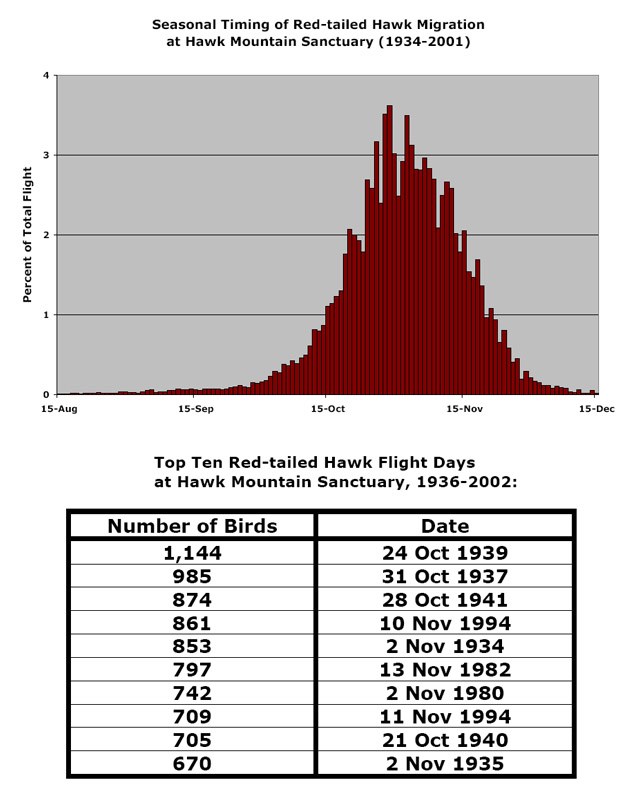 Red-tailed Hawk Migration Data