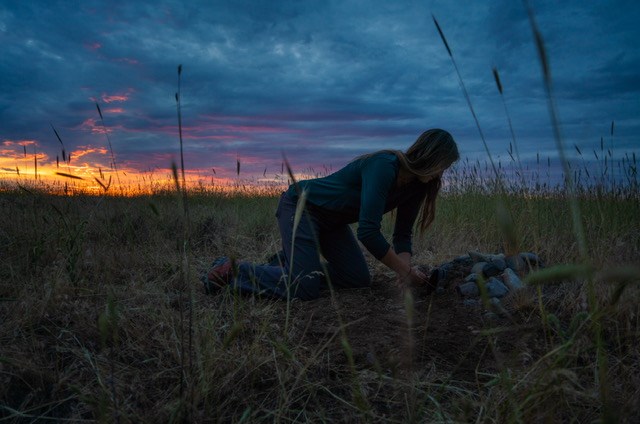 Zoey releasing an owl into a burrow at sunset.